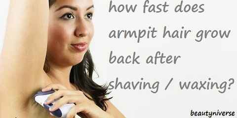 how fast does armpit hair grow back after shaving waxing