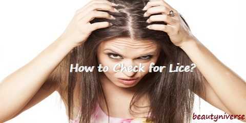 how to check for lice
