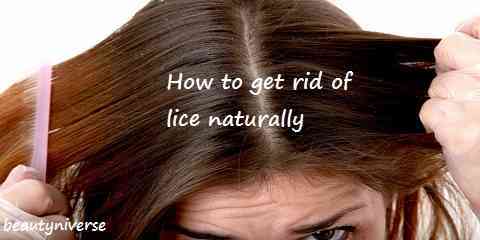 how to get rid of lice naturally in one day