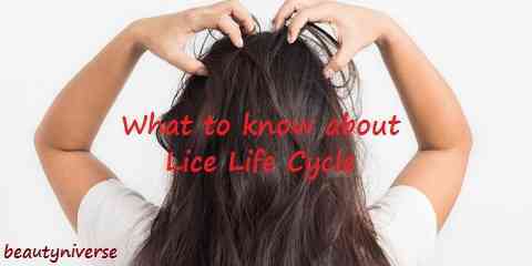 lice life cycle