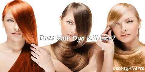 does hair dye kill lice