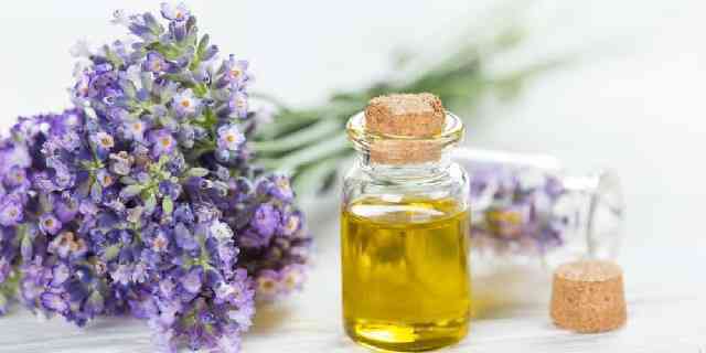 Best Essential Oils for Hair Loss